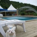 그랑샤리오 이미지