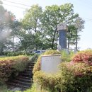음성군 금왕읍 도청리 정창 기적비 이미지