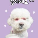 양평칼국수(대구본점) 이미지