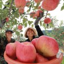 삼애농원 이미지