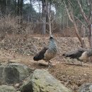 샘터농장 이미지