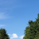 송가네 오가리캠핑장 이미지