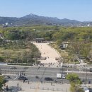 동아장여관 | 90년 만에 복원한 율곡로 궁궐담장길 코스 걷기(창경궁-종묘 숲길)