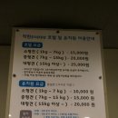 착한퍼피 이미지