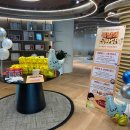 MEGA 뽑기 이미지