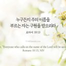 (주)부름 이미지