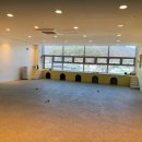 데일리 댕댕 이미지