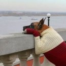 설레임 피아노 이미지