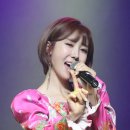 미스트롯노래홀