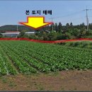 성산읍-3 이미지