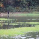 어우실낚시터 이미지