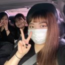 콜라니티다 이미지