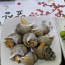 앞산물회 이미지