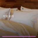 석모포레