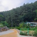 범진식육식당 이미지