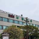 대상약국 | 청주 서원구청 꽃구경 후기 🌸 민방위 화재안전 교육까지 알찬 하루_0420