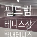 필드림 골프 이미지