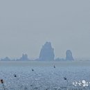 고대도1 이미지