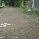 판교박물관 이미지