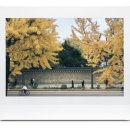 효자 정신비 | 장, 식탁으로 이어진 풍경 - 재단법인 아름지기 전시회 관람후기 /서촌 전시 추천