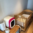 스카이짐 피트니스 안락점 | 강릉 스카이베이 경포호텔 디럭스 더블룸 레이크뷰 6개월 아기랑 2박 투숙 솔직 후기