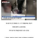 유명족발 이미지