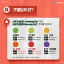 습관들 이미지