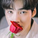 백서후 카카오 검색결과