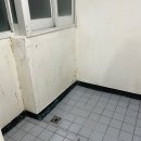 하나특수광택 이미지