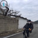 나성회관