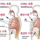 하늘피지오필라테스&스포츠재활센터