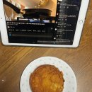 세이브독 | 독-한