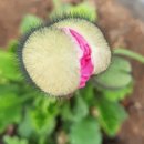 숙미용실 이미지