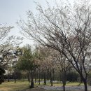 342 | 강릉 캠핑장 342camp 후기, 캠린이도 편하게 다녀온 강원도캠핑장 추천