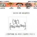 (주)글루칸 이미지