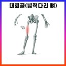 원포인트 특수체육센터 이미지