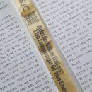 11545-03-25-01 | [전시회] 아드리안 비야르 로하스: 적군의 언어 (25. 01. 03)