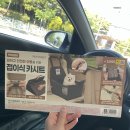 다이소 펫 카시트 후기