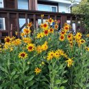 지리산아름다운펜션 이미지