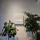 매안1길 | 순천 신대지구 카페 샤라트에서 연말기념 딸기케이크 주문 후기