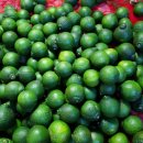 청용농장 이미지