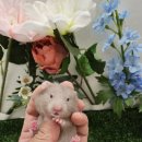 패러그린샵 명지점 이미지