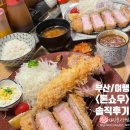 고라농장 | 웨이팅 맛은 짜고 느끼함 <톤쇼우 광안리> 버크셔 K 로스 카츠 모둠 카츠 멘치 카츠 내 돈 내산 솔직후기