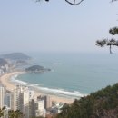 송정메타세콰이어길 이미지