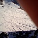 양지파인리조트 이미지