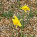 대종주유소 이미지