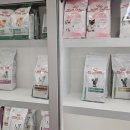 서울플러스종합동물병원 | 영등포동물병원 플러스동물메디컬센터 강추 이유...후 건강검진까지 꼼꼼 후기 가격 착하고 강요없는...