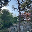 낙타(NAKTA) | 의정부 카페 야외 테라스와 계곡이 있는 나크타 베이커리 NAKTA