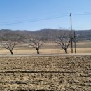 수로부동산공인중개사사무소 이미지