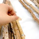 모기 기피 가랜드 만들기 이미지